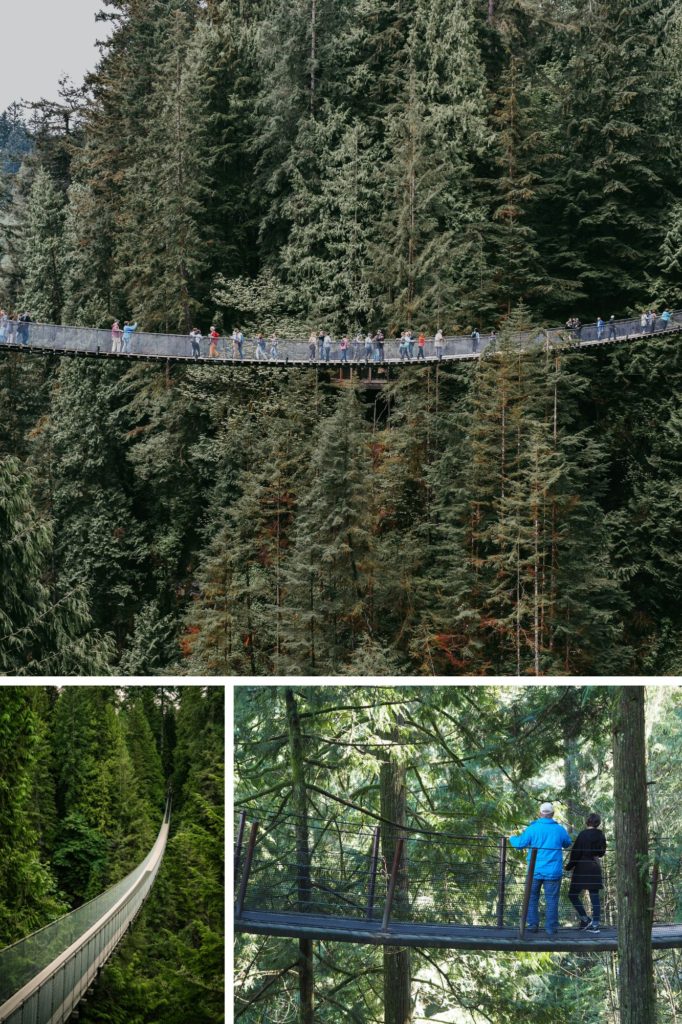 Capilano Suspension Bridge
